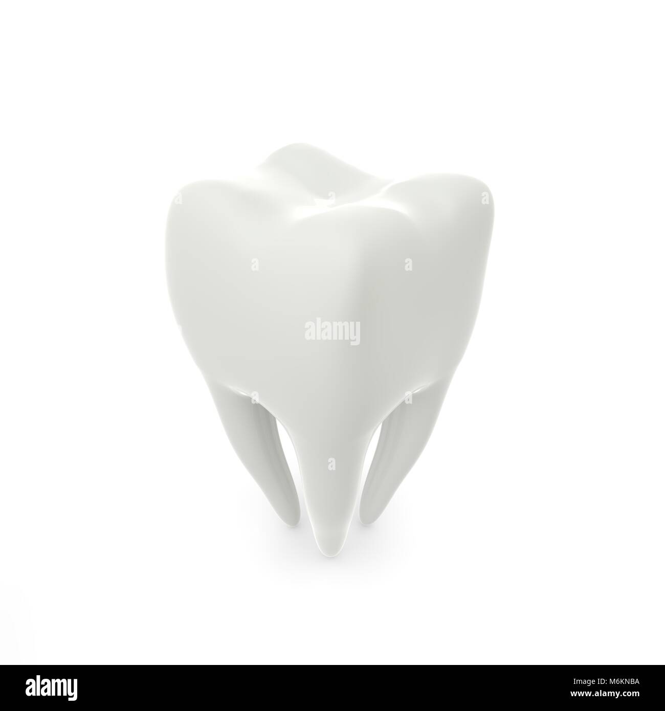Model of a molar tooth on a white isolated background. 3D illustration ...