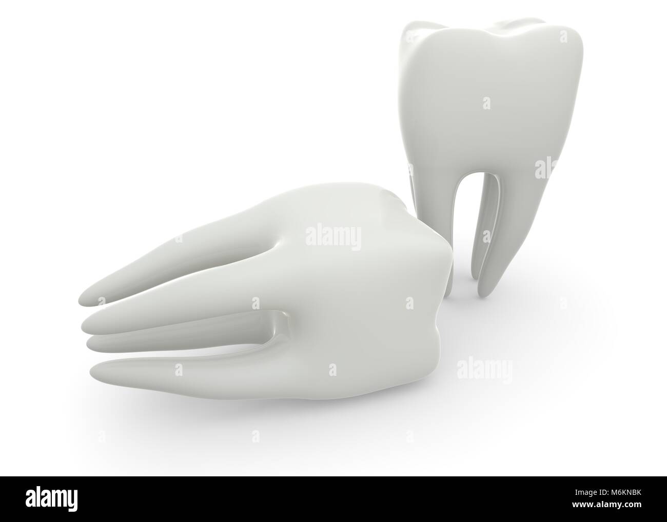 Model of a molar tooth on a white isolated background. 3D illustration ...