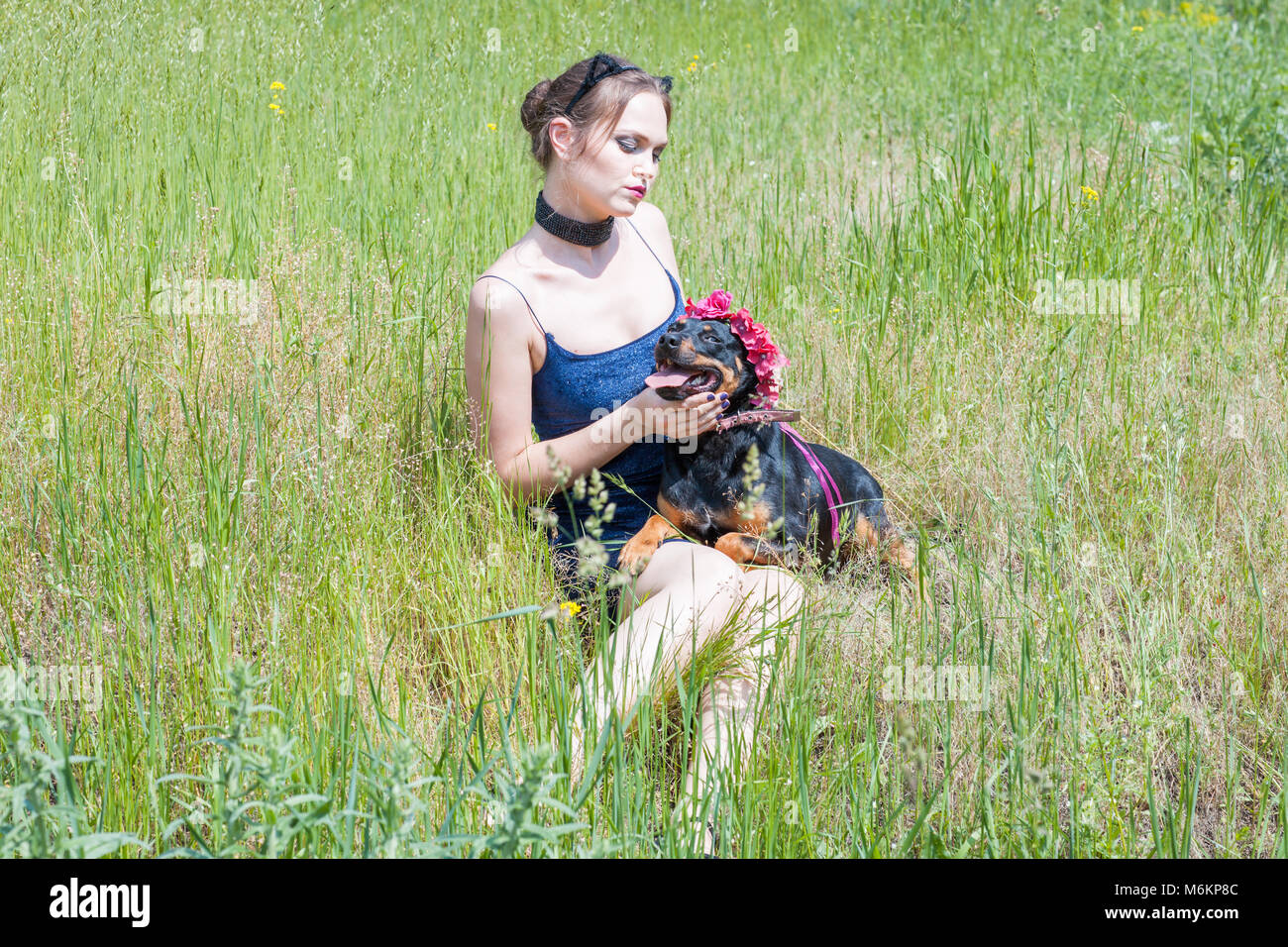 Girl and dog are sitting on the grass in the field Stock Photo - Alamy