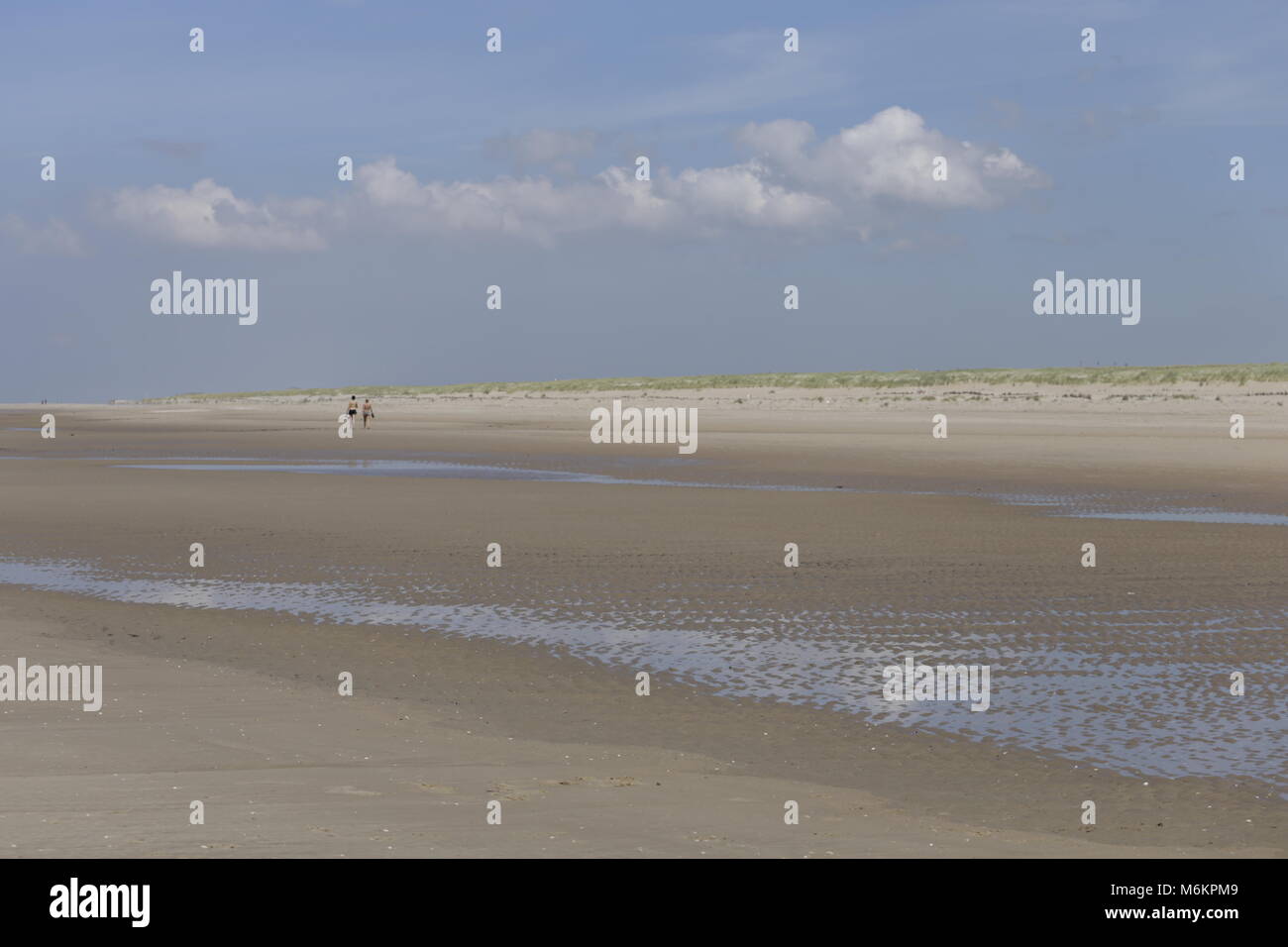 Dutch beach in Camperduin by low tide Stock Photo - Alamy