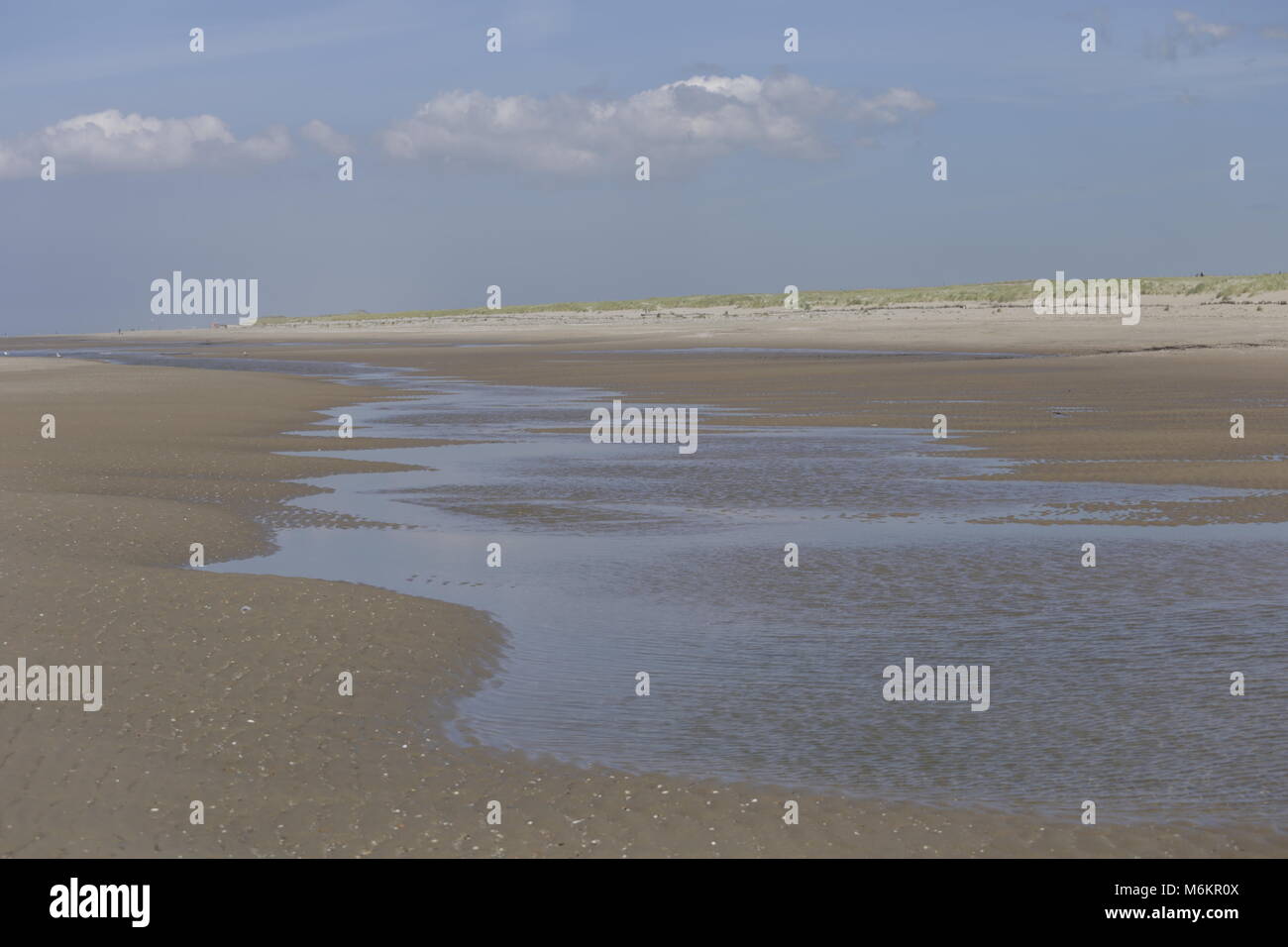 Dutch beach in Camperduin by low tide Stock Photo - Alamy