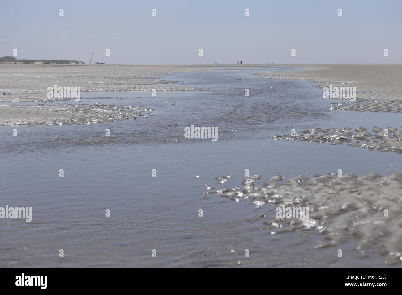 Dutch beach in Camperduin by low tide Stock Photo - Alamy