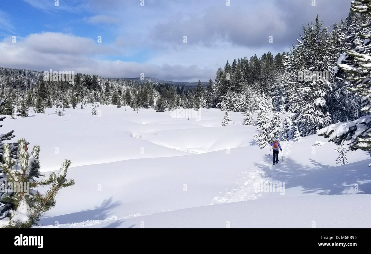 Skier on DeLacy Creek Trail Stock Photo Alamy