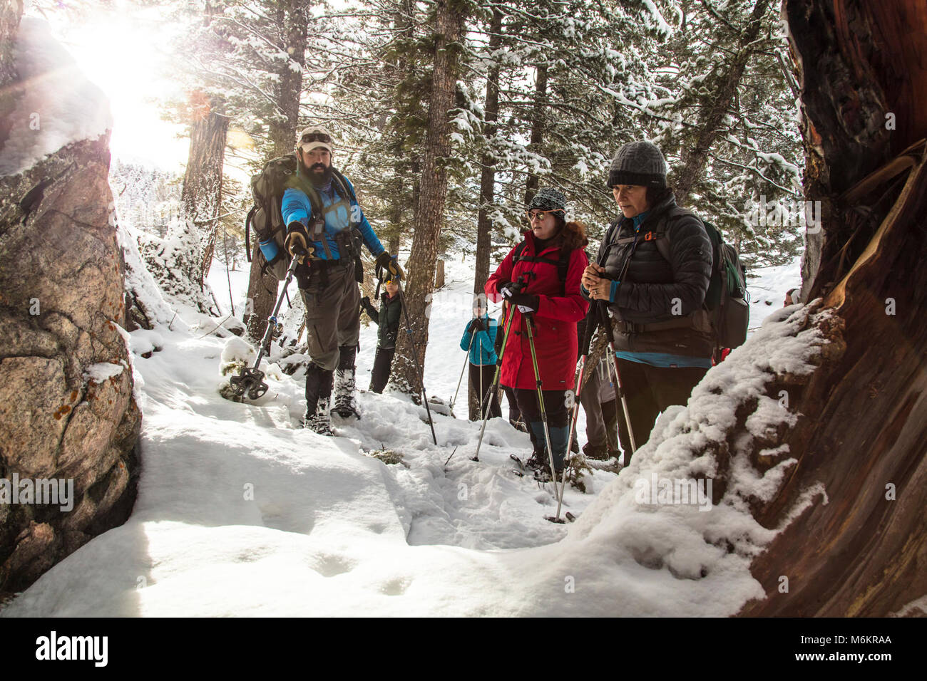 Cougar tracks hi-res stock photography and images - Alamy