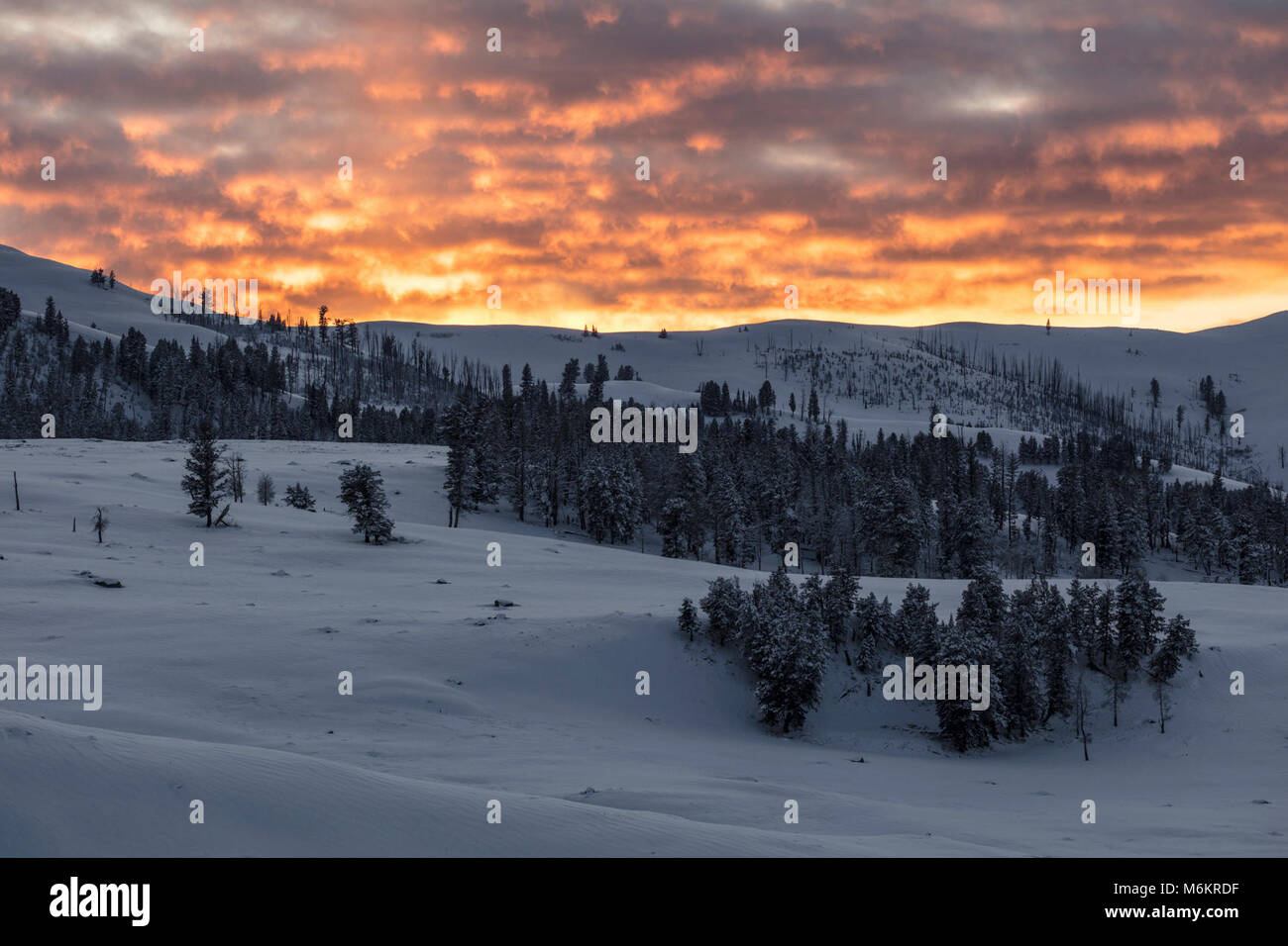 Sunset over Specimen Ridge Stock Photo - Alamy