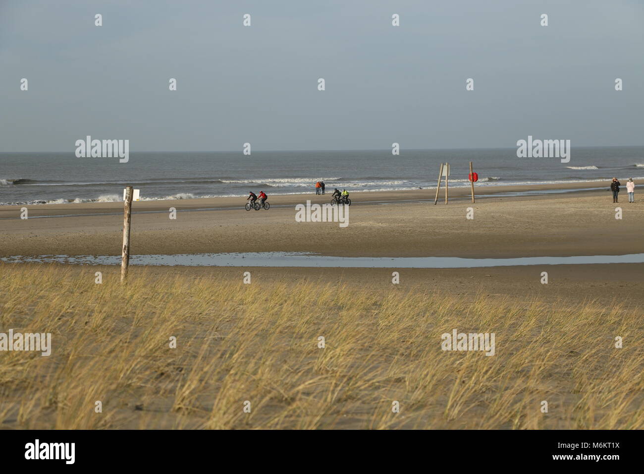 Dutch beach in Camperduin by low tide Stock Photo - Alamy