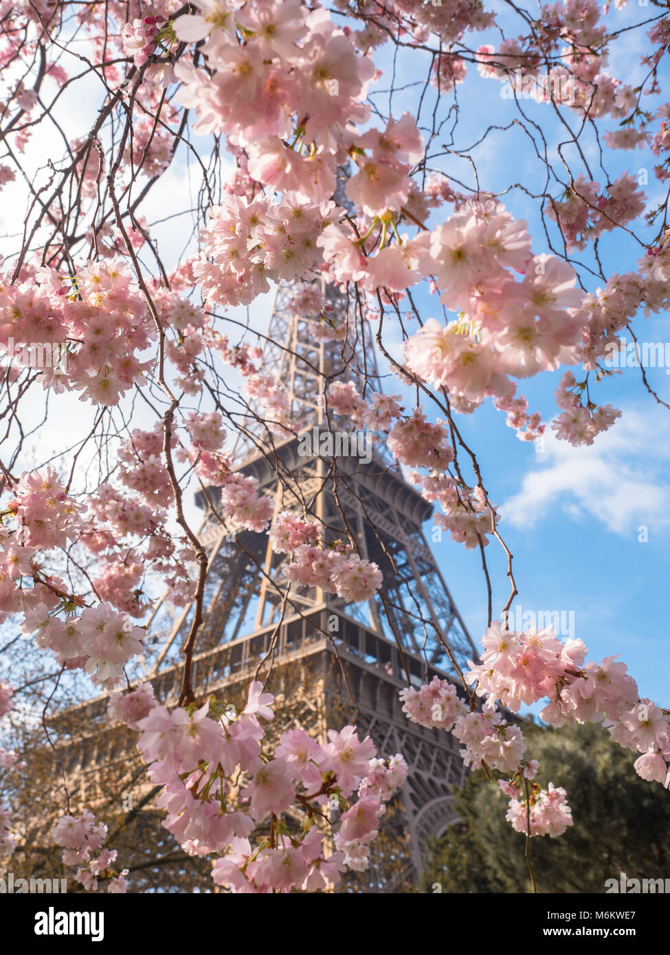 Paris Spring Time Image Beautiful spring time in Paris Stock Photo - Alamy