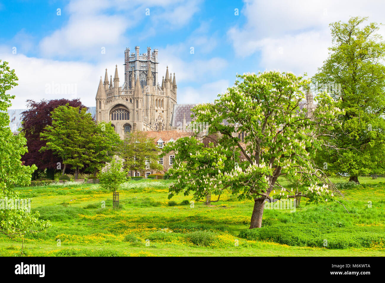 ely cathedral in sunny winter day Stock Photo - Alamy