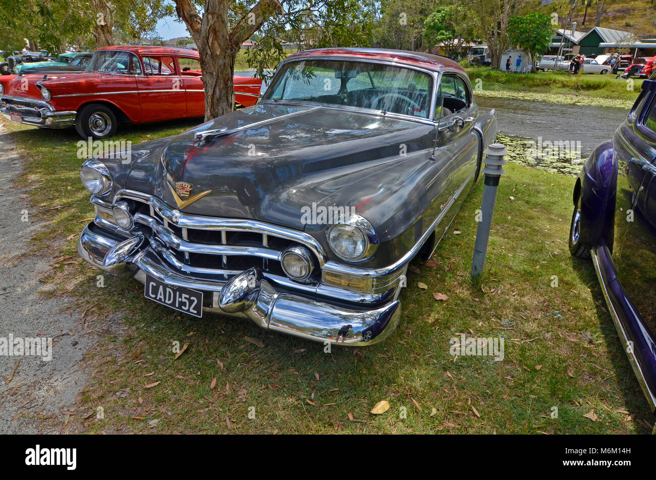 classic 1952 cadillac at car show in queensland australia Stock Photo