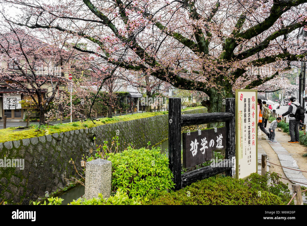 Beautiful sakura cherry blossoms during the hanami in Tetsugaku-no-michi (Philosopher's Walk), Kyoto, Japan Stock Photo