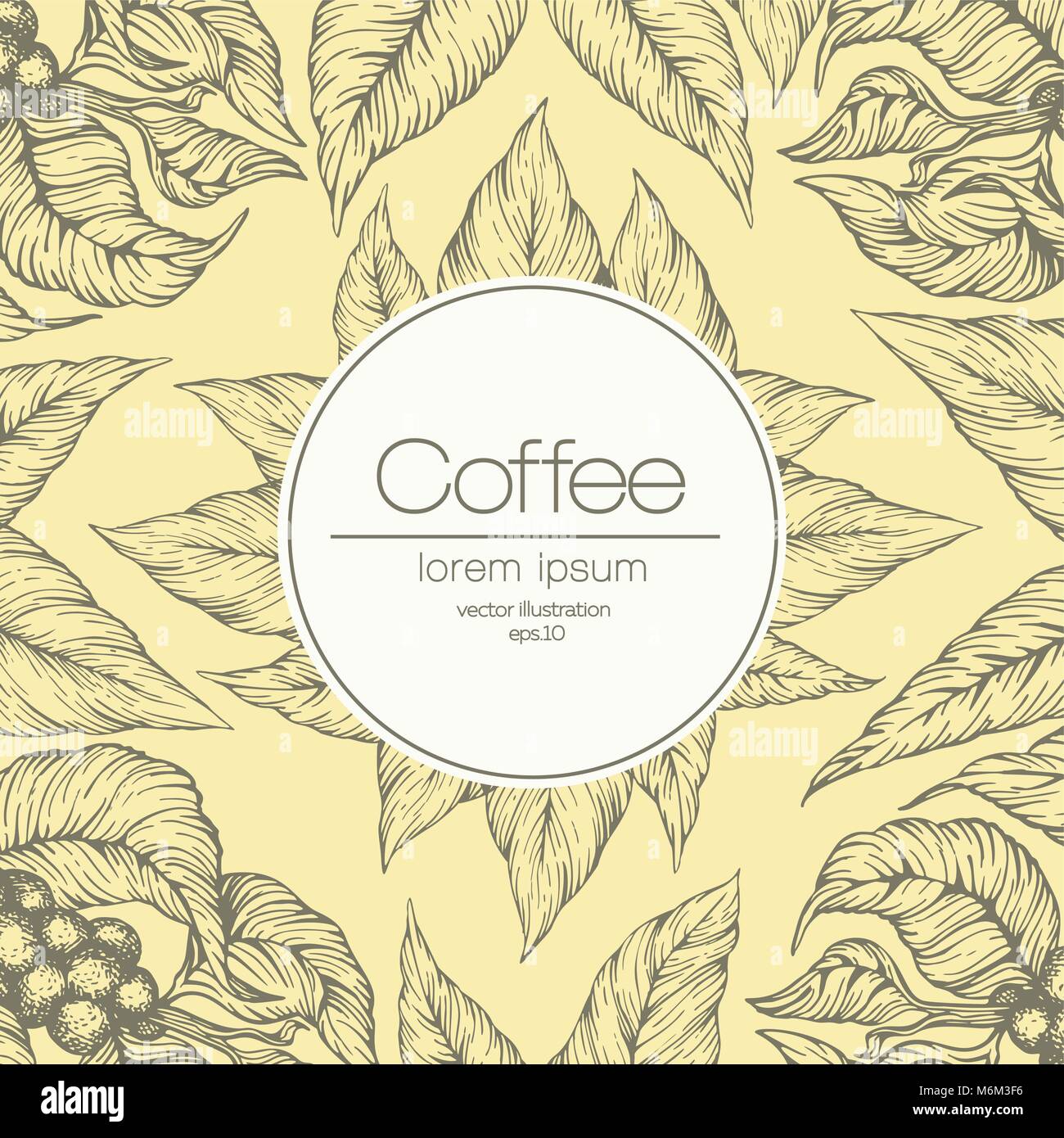 Coffee beans vector illustration. Engraved retro style illustration ...