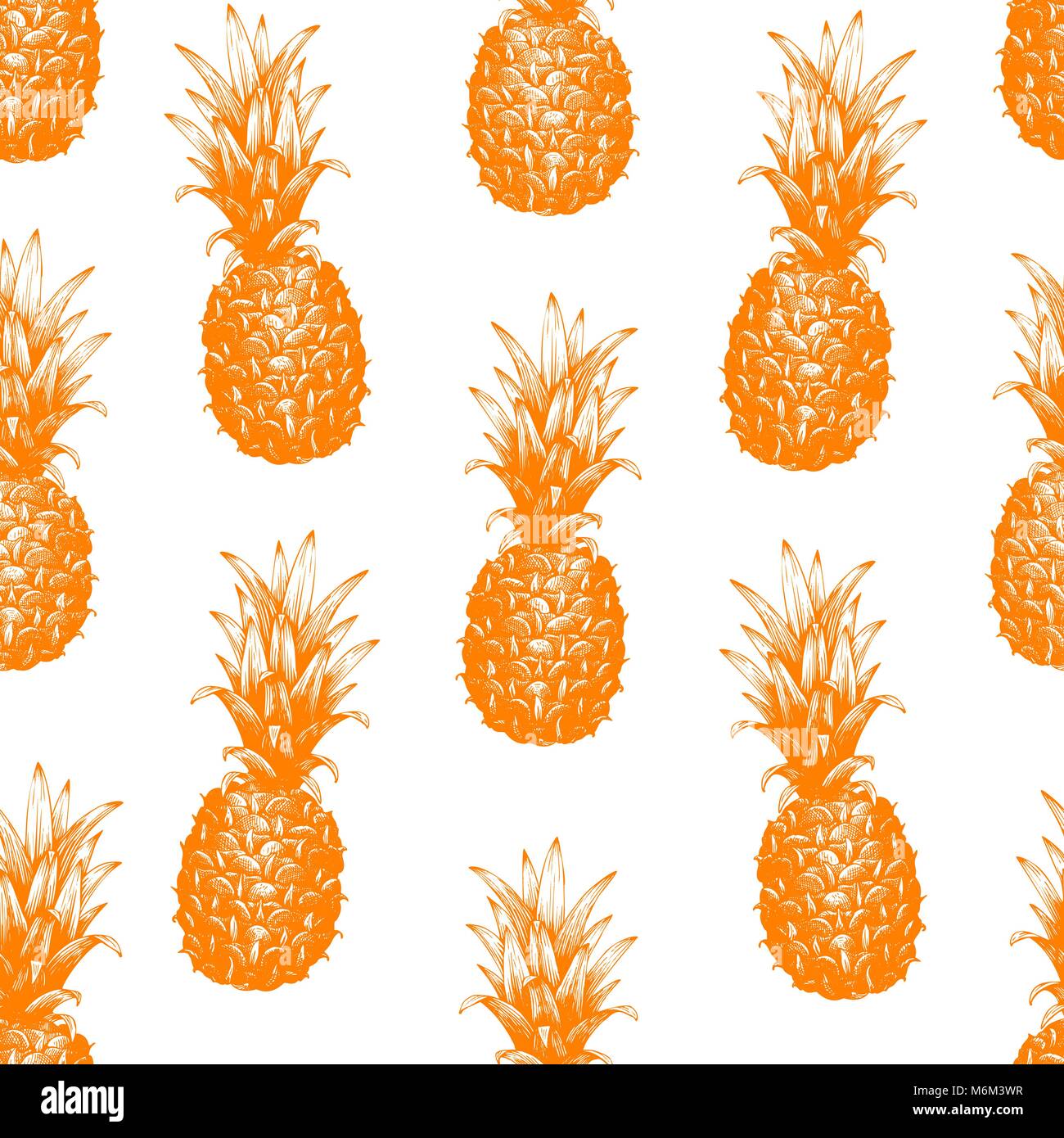 Vector hand drawn seamless pattern with pineapple. Tropical summer ...