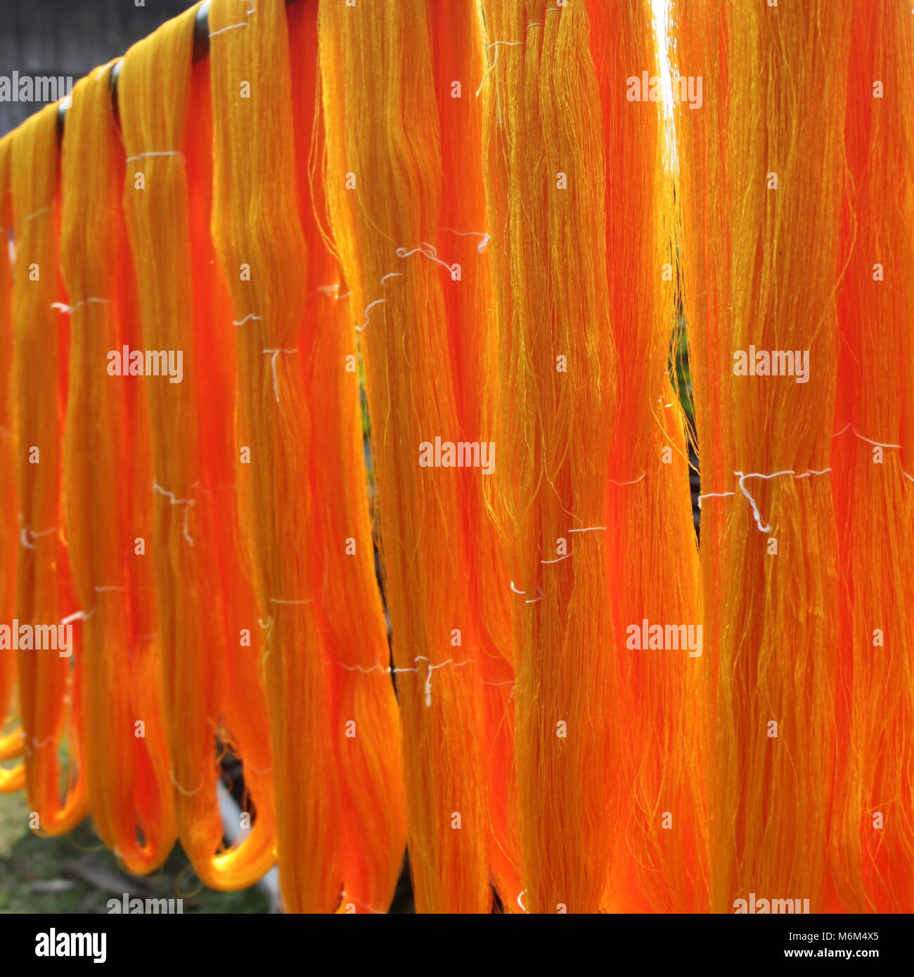 silk production process, yellow raw silk thread Stock Photo Alamy