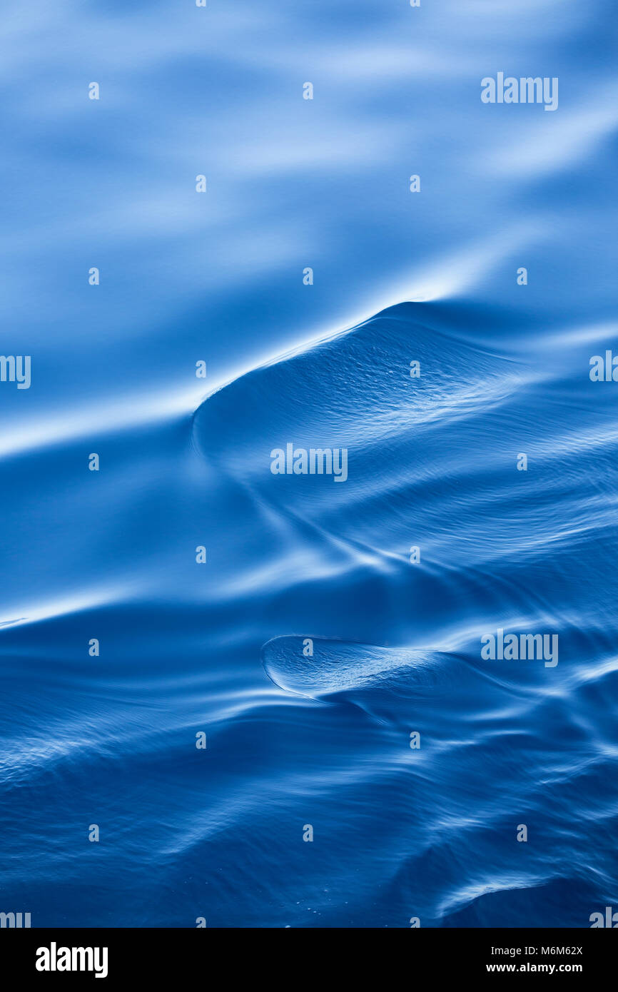 texture of a calm wave in the ocean in a soft backlight Stock Photo