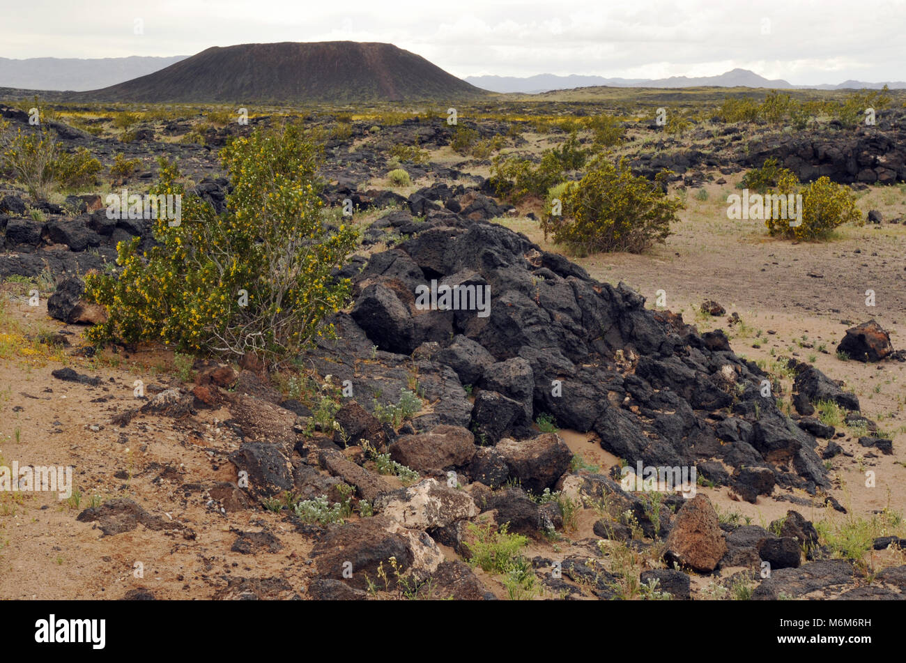 An ancient lava field extends across the Mojave Desert from the Amboy Crater near the town of Amboy, CA. The crater is an extinct cinder cone volcano. Stock Photo