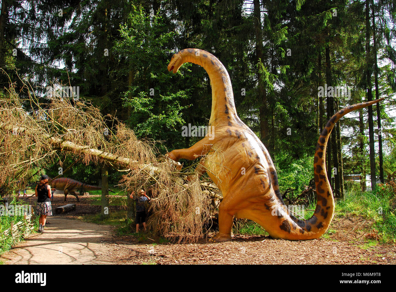 Full size model of Apatosaurus dinosaur in dinosaur park in Givskud Zoo in Givskud, Denmark. August 8th 2015. Givsud Zoo is one the biggest tourist at Stock Photo