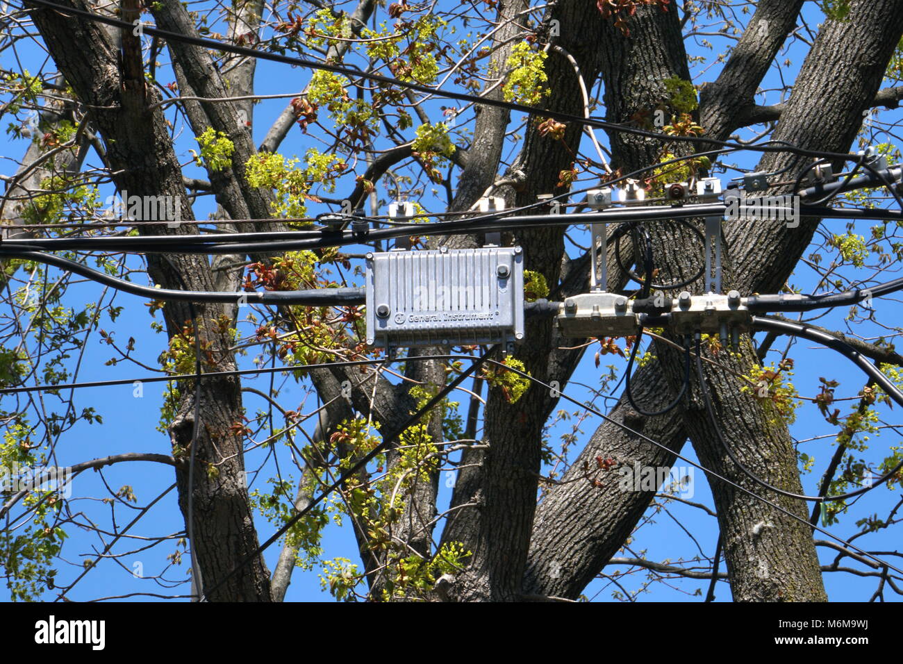 Long Island, NY April 3, 2016 A Cablevision server box hangs from