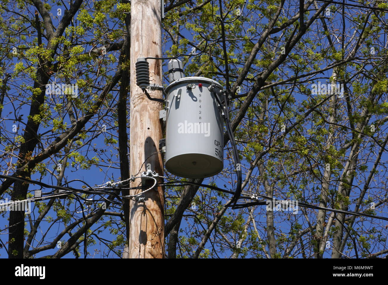 Long Island, NY - April 3, 2016: A PSEG electric transformer sits on a utility pole serving power customers on a spring day Stock Photo
