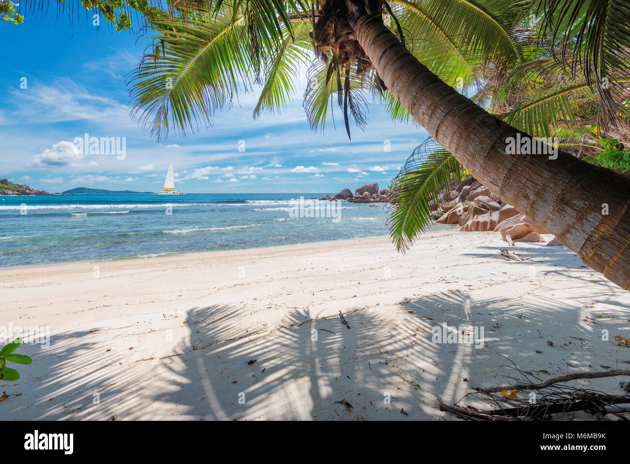 Tropical beach with palm and a sailing boat in the sea Stock Photo