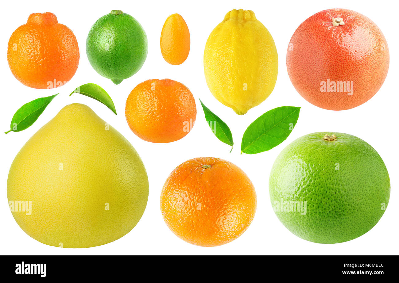 Isolated citrus fruits collection. Clementine, lime, pomelo, kumquat