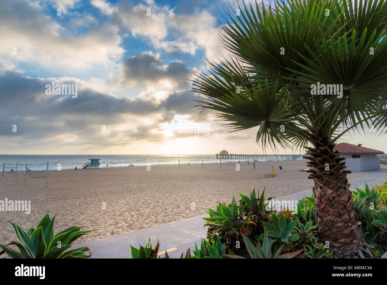 Palm trees on Manhattan beach and pier at sunset, Los Angeles, California. Stock Photo