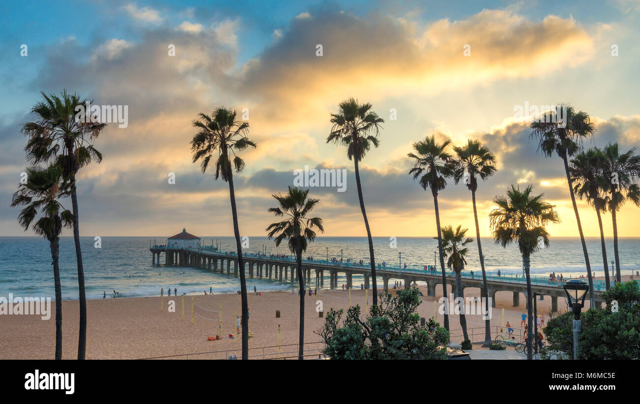 Palm trees on Manhattan beach and pier at sunset, Los Angeles, California. Stock Photo