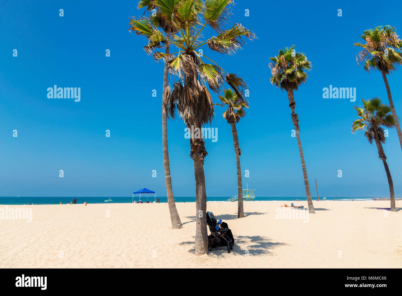 Palm trees on Manhattan beach at sunny day, Los Angeles, California. Stock Photo