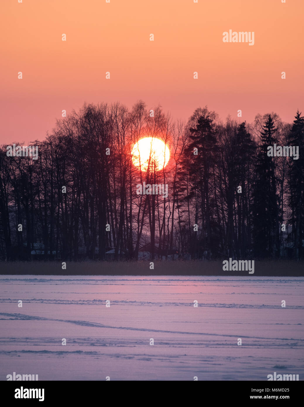 Scenic sunset with big sun at winter evening in Finland Stock Photo