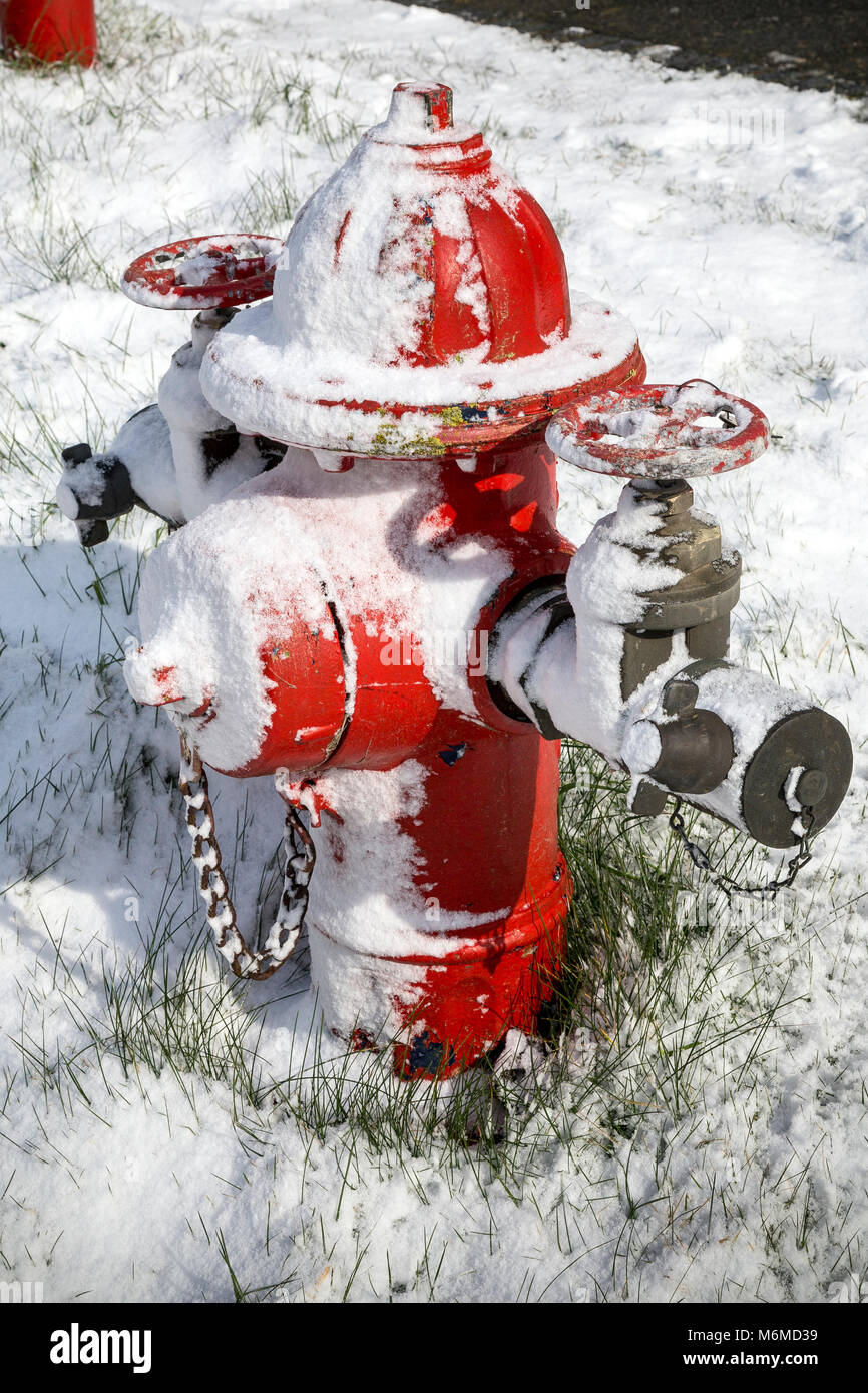 Red fire hydrant,Meteorology. a precipitation in the form of ice crystals, hexagonal form and often agglomerated into snowflakes, Stock Photo