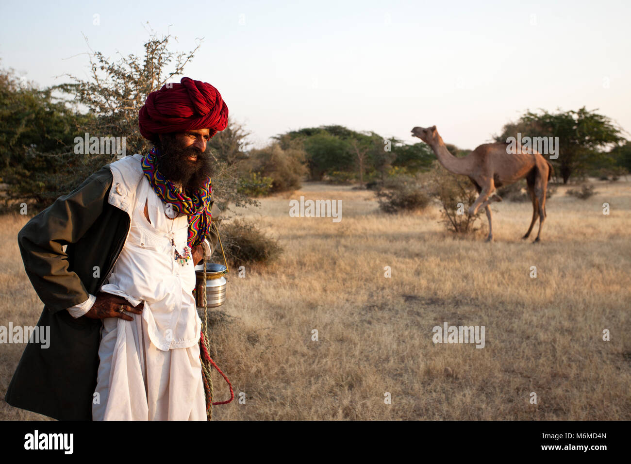 Rabari man with camel in the background Stock Photo