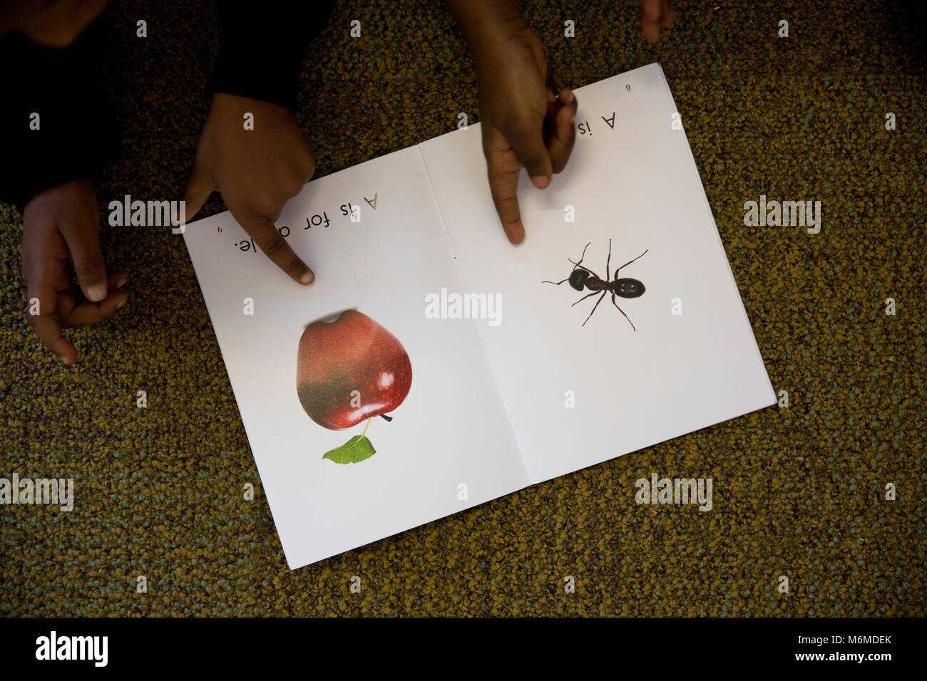 Close up of school kids pointing words in a book Stock Photo Alamy