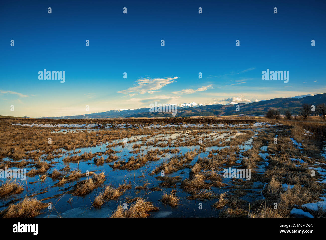 Winter landscape in Bulgarian mountains Stock Photo - Alamy