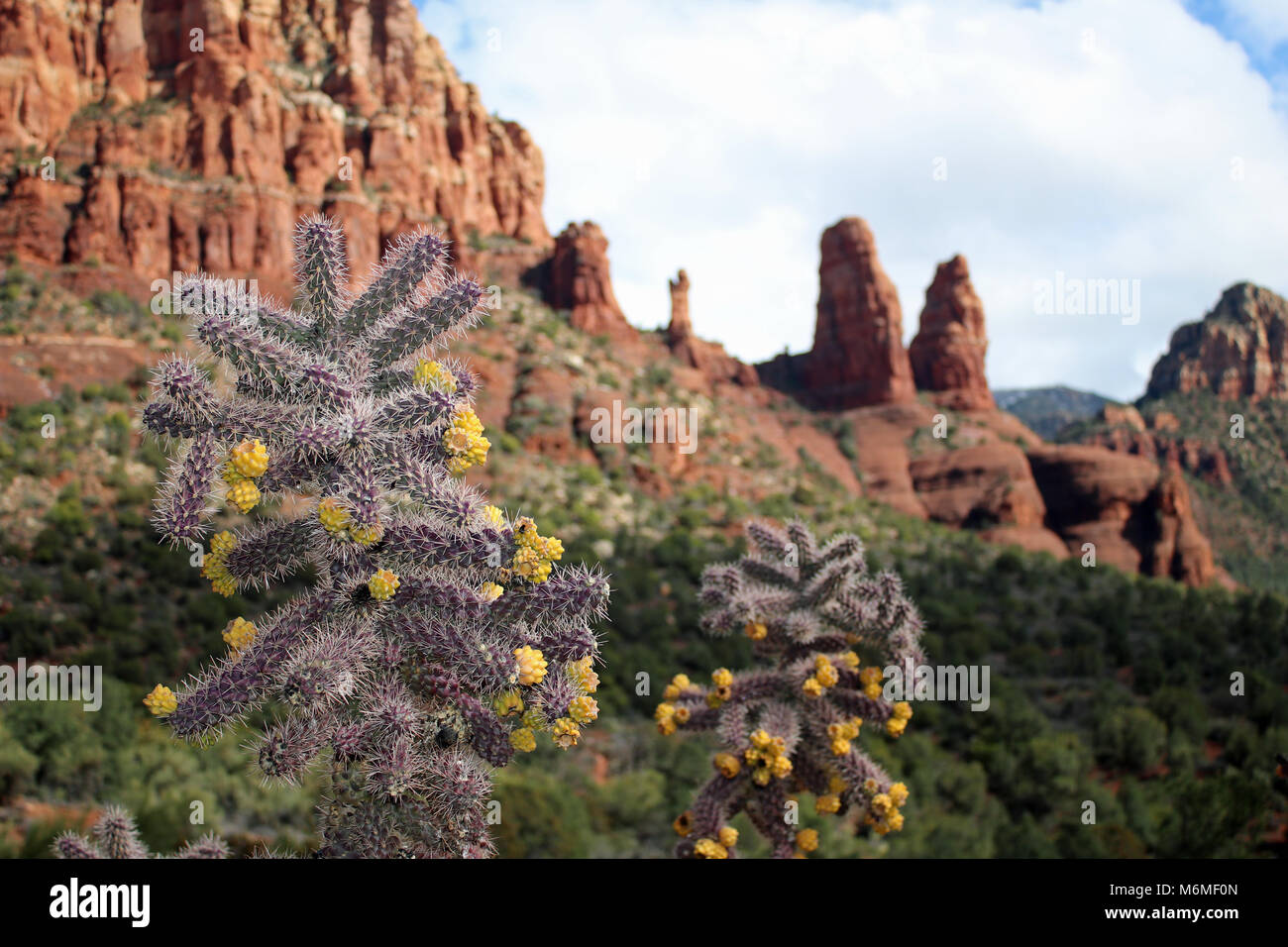 Red Rocks of Sedona, Arizona Stock Photo - Alamy