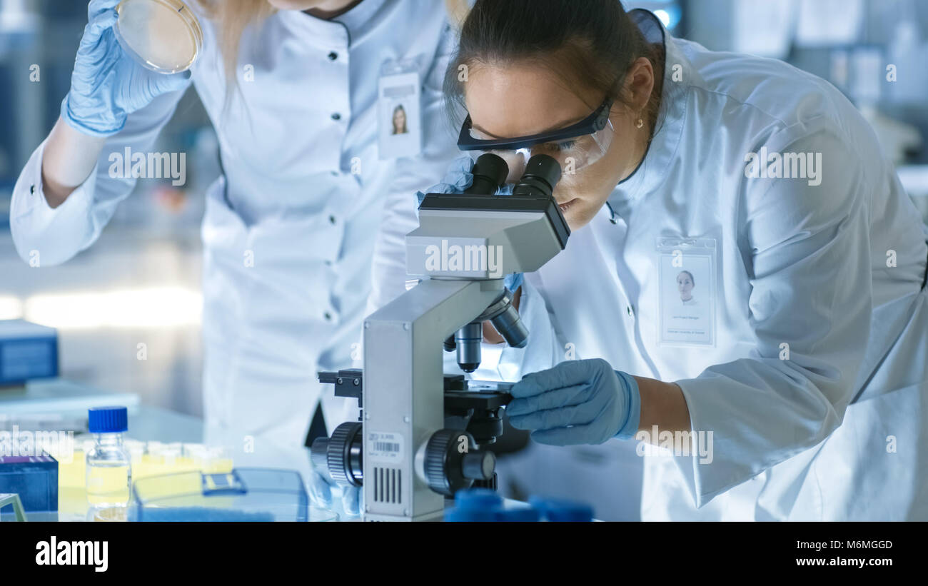 Medical Research Scientist Drops Sample on Slide and Her Colleague Examines it Under Microscope. They Work in a Modern Laboratory. Stock Photo