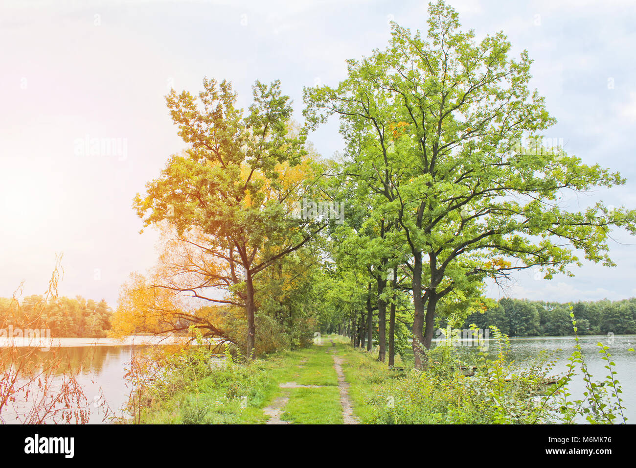 Trees between two pond with path, Czech landscape Stock Photo - Alamy