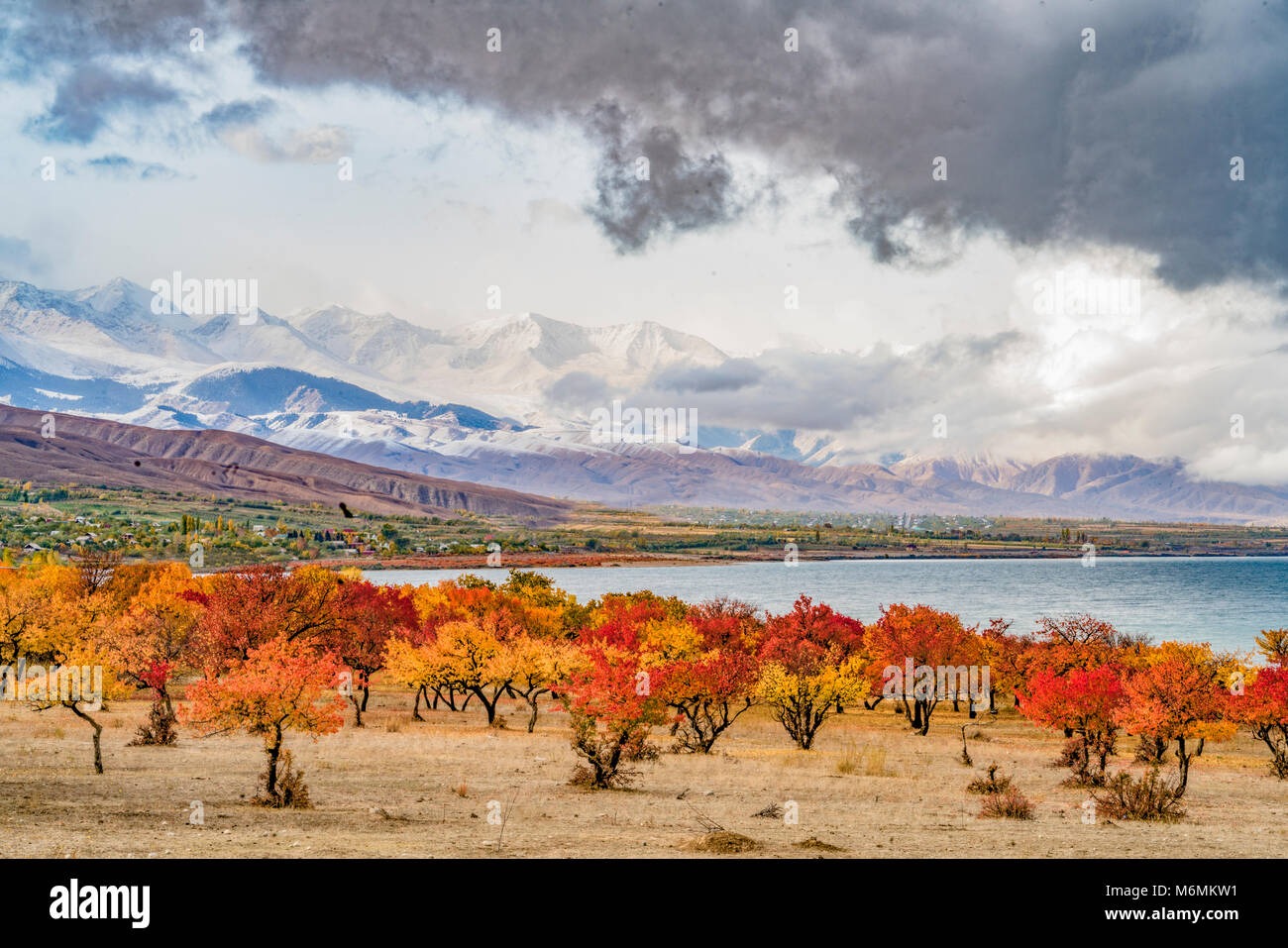 Tien Shan Mountains and fall color, Kyrgyzstan Central Asia Stock Photo