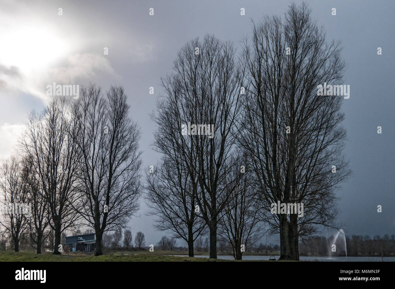 trees standing near a lake against a dark blue cloudy sky Stock Photo ...