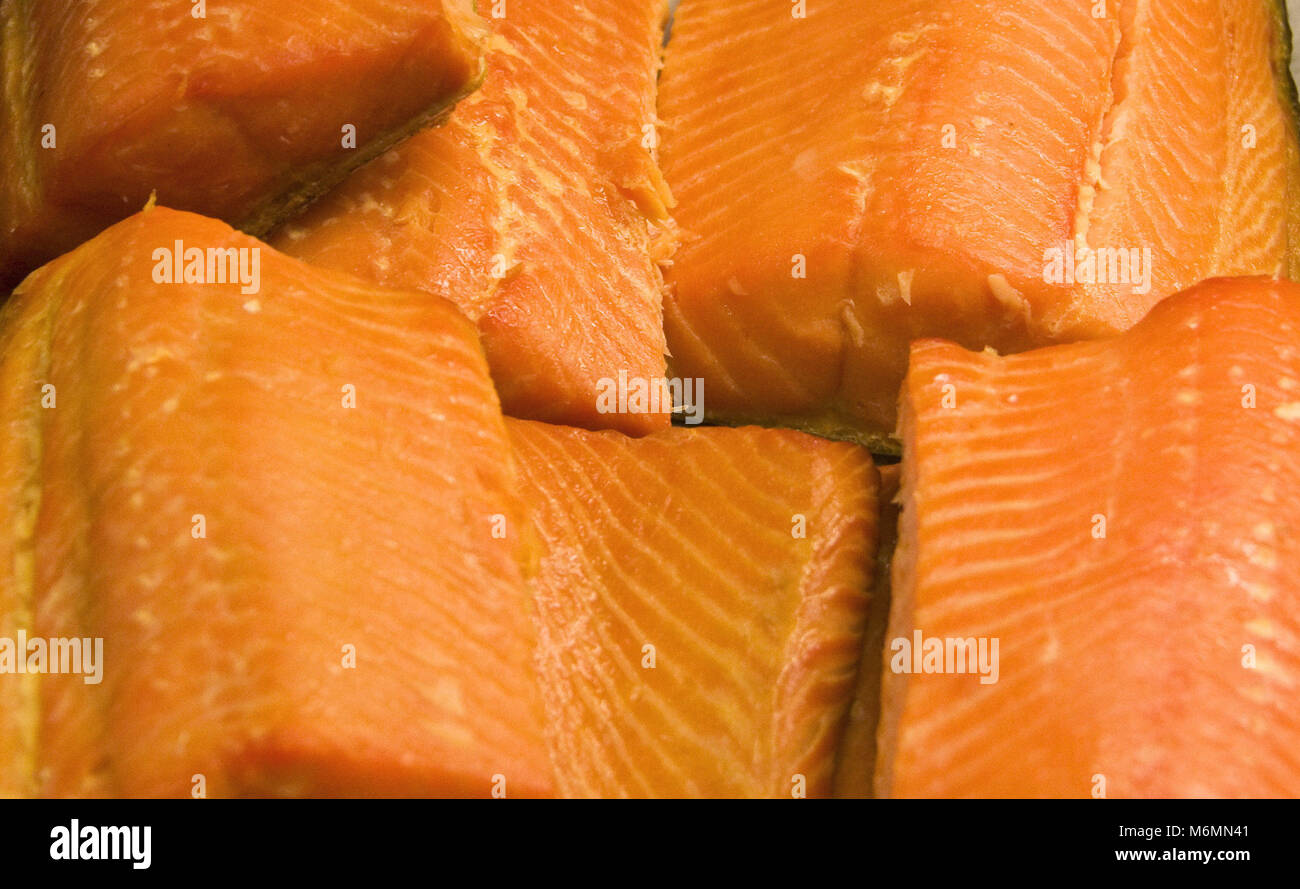 Canadian Salmon Stock Photo
