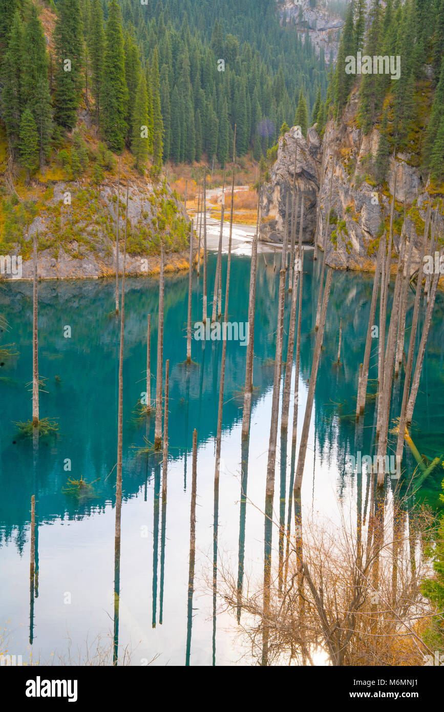 The Sunken Forest, Lake Kaindy, Kazakhstan, Central Asia, Blue glacial lake formed by 1911 earthquake.  Lake Kaindy National park Stock Photo