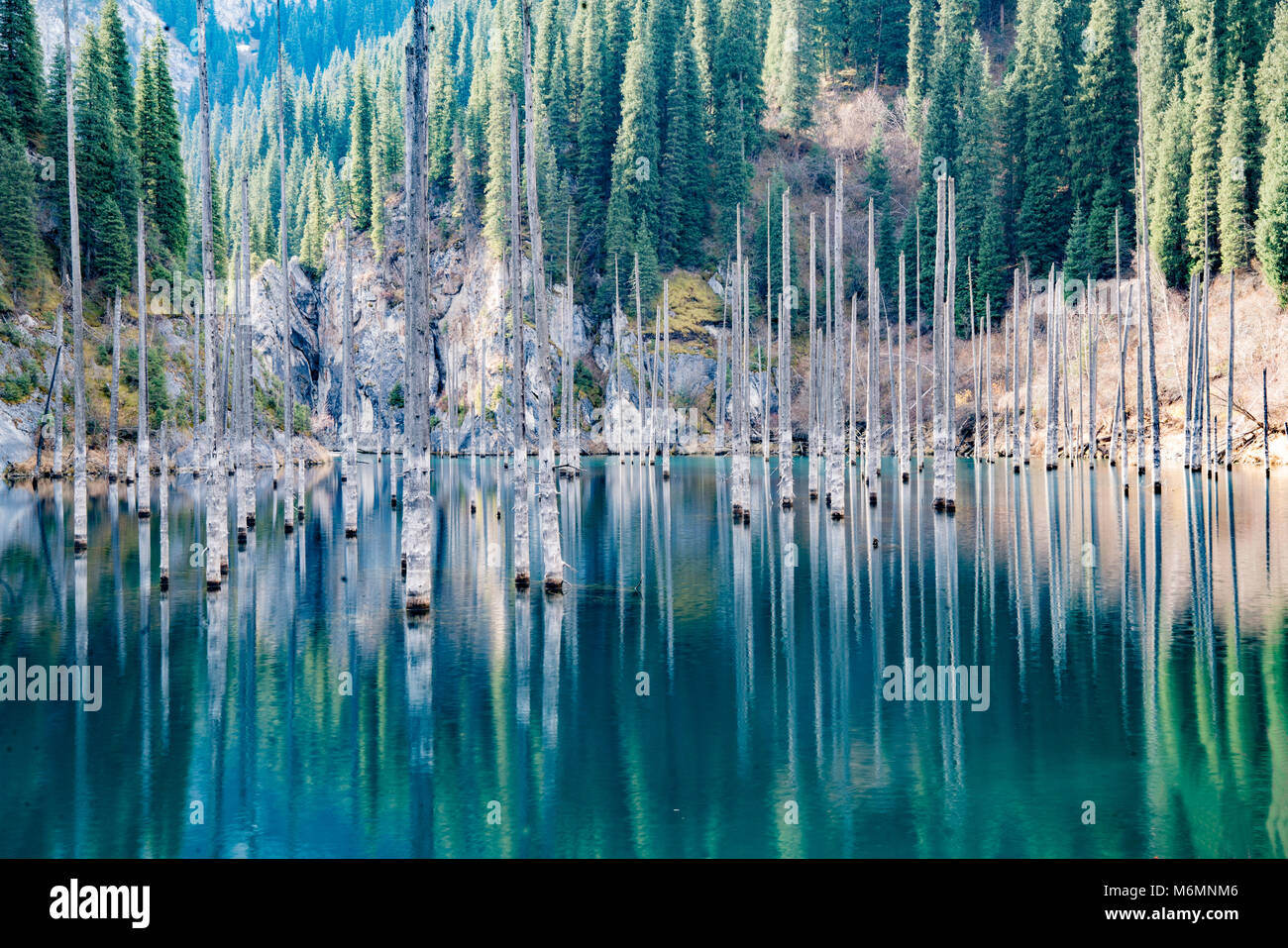 Underwater Forest Of Lake Kaindy Underwater Forest Of Lake Kaindy