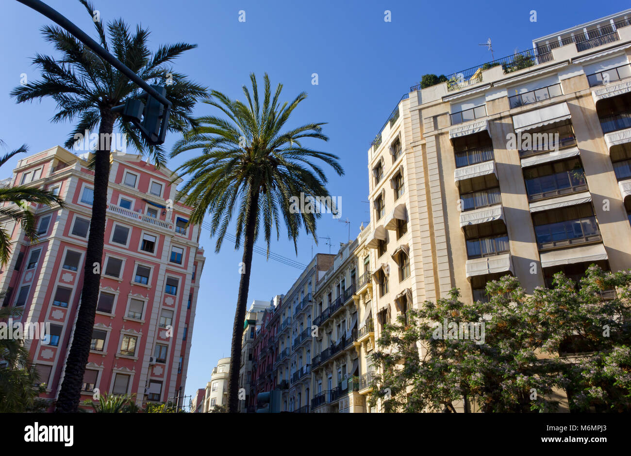 Palm trees modern buildings hi-res stock photography and images - Alamy