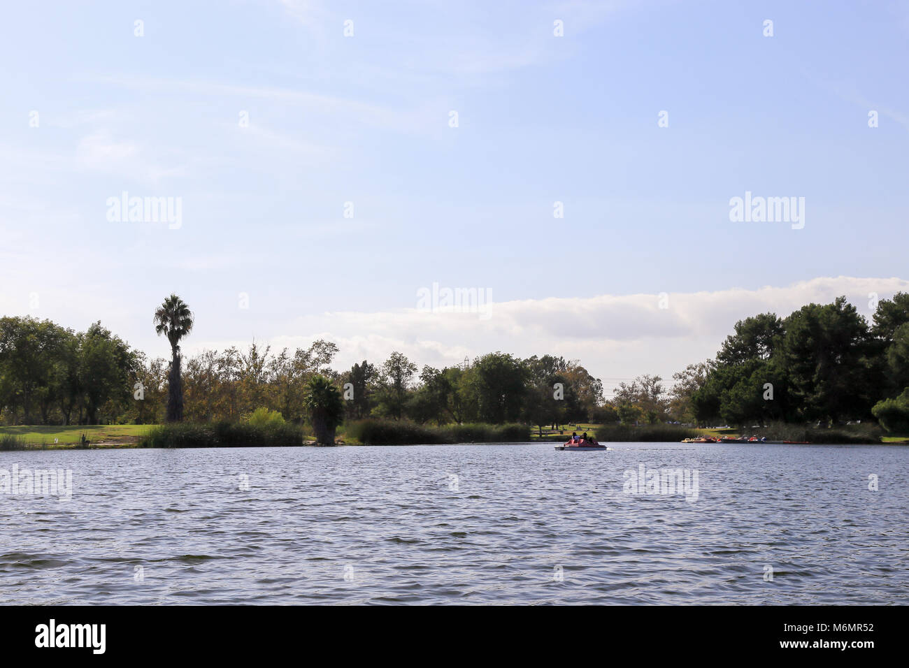 Pedal boating in a lake at El Dorado East Regional Park, Long Beach