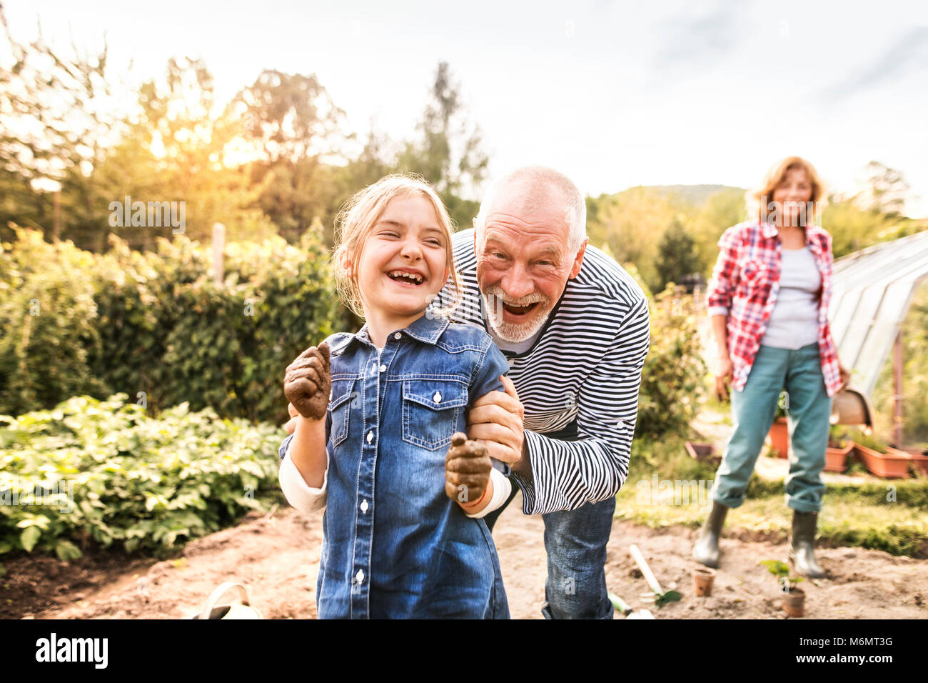 Senior couple with granddaughter gardening in the backyard garden. Stock Photo