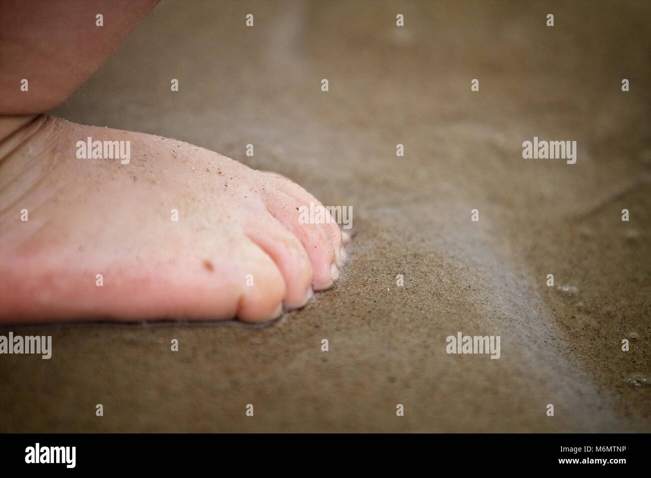Happy bare feet on sandy beach. Feet covered in sand. Sunny. Shallow depth of field. Stock Photo