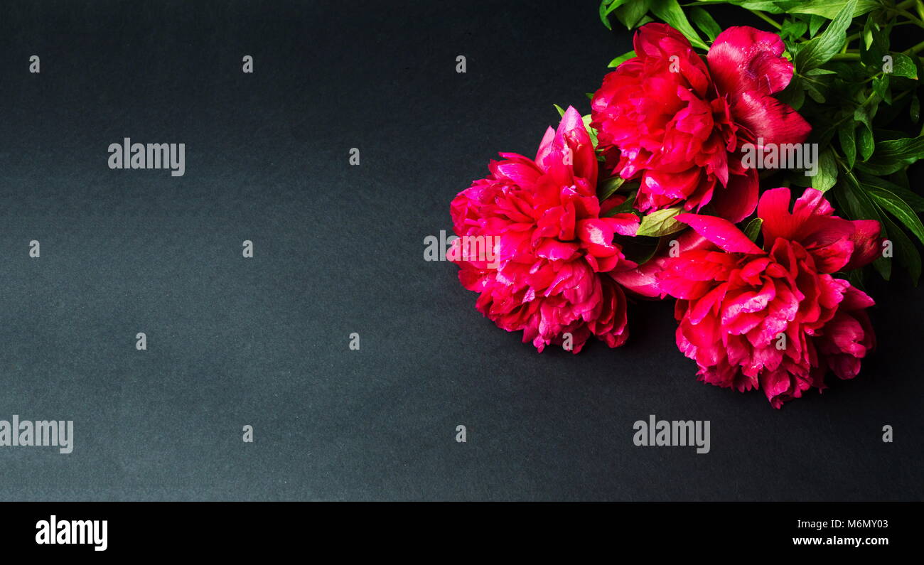 Red peony flowers bouquet on dark background Stock Photo - Alamy
