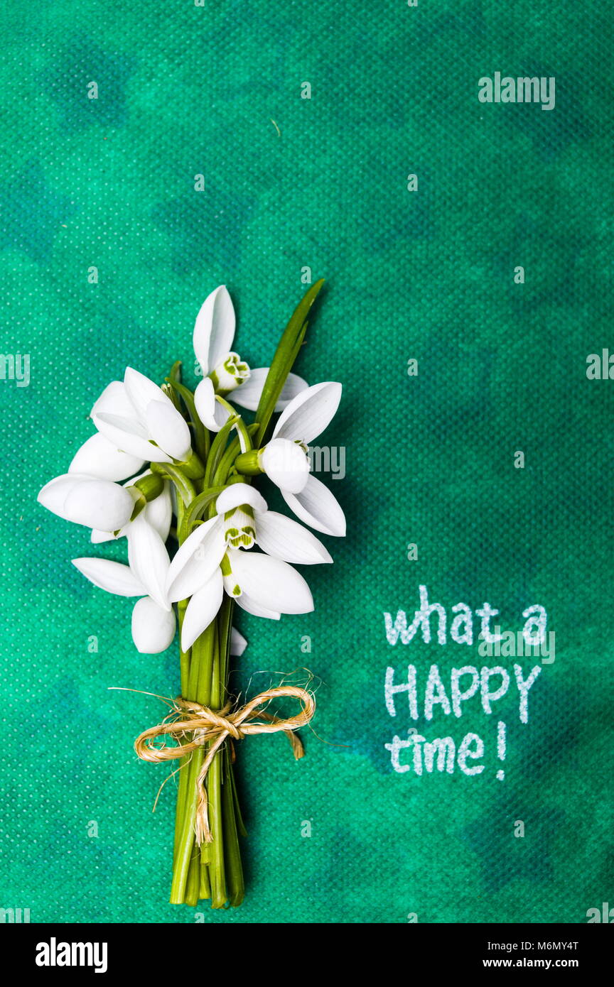Snowdrop flowers and Happy time note on green background Stock Photo