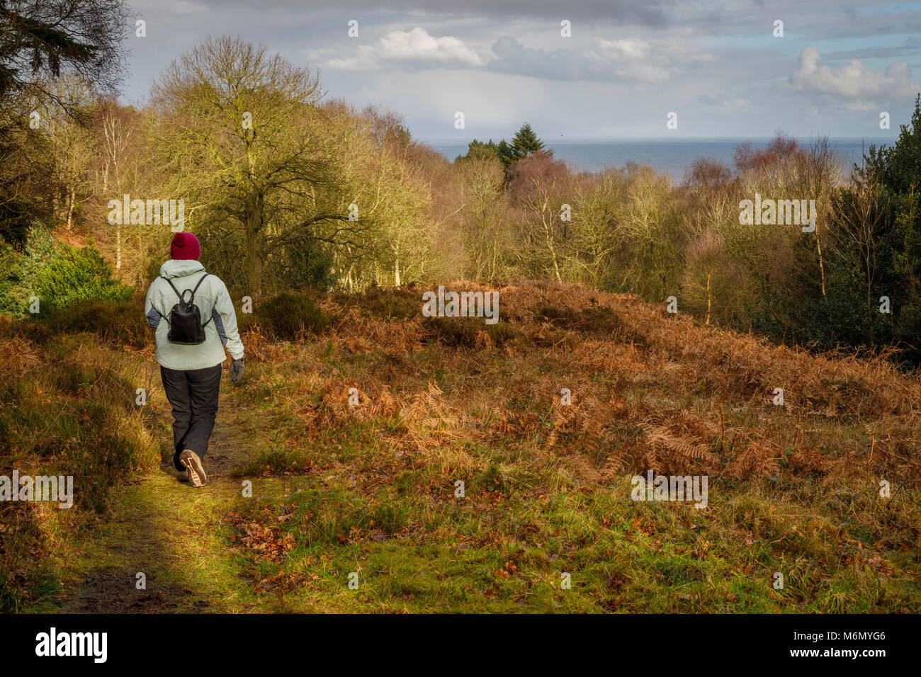Rambler on the path across West Runton heath, North Norfolk, UK. Stock Photo