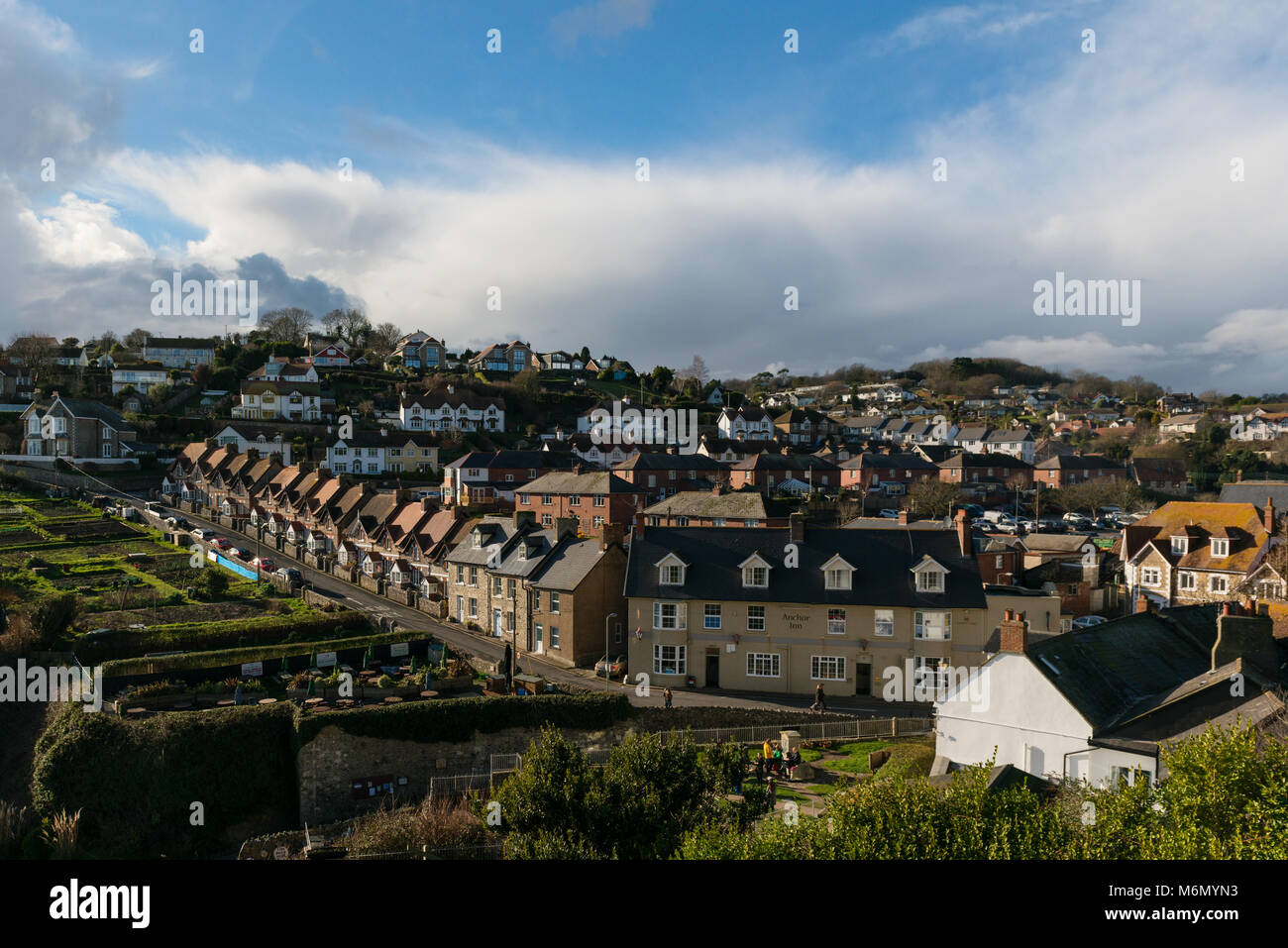 Terraced cottages in Beer East Devon Stock Photo