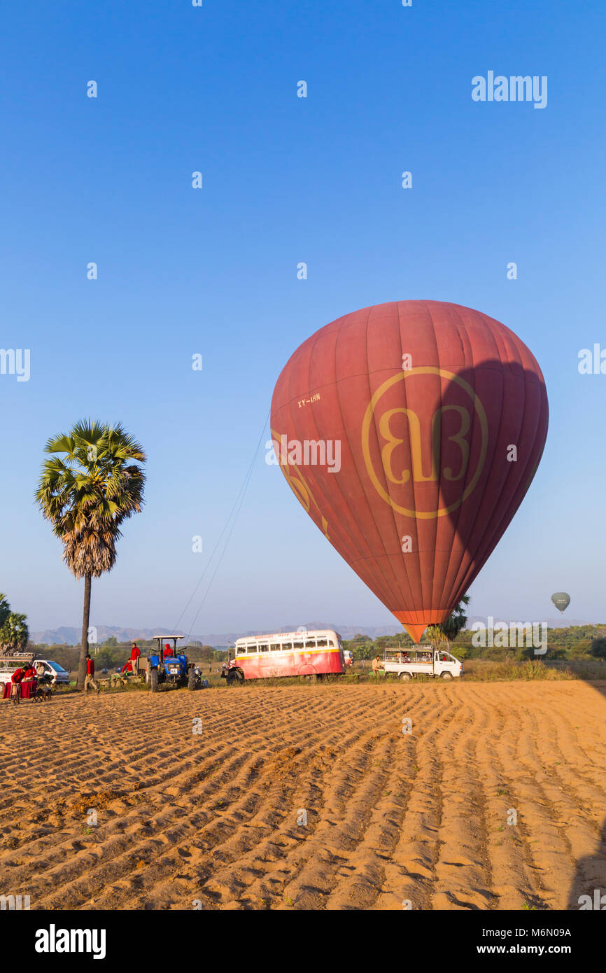 Balloons over Bagan buses and crew wait for hot air balloons to land at Bagan at dawn, Myanmar (Burma), Asia in February Stock Photo