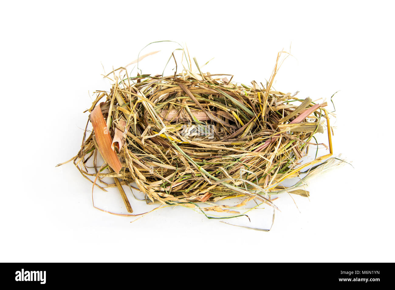 Bird's nest From grass dry and straw or natural material isolated on white background. Stock Photo